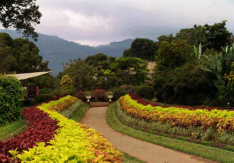 Hakgala botanical garden