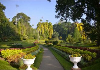 Royal Botanic Gardens