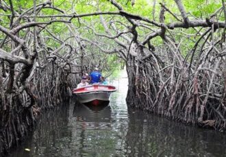 River Safari in Madu River