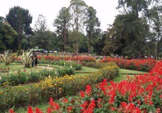 Victoria Park Nuwara Eliya