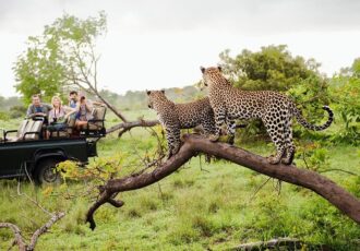 Yala National Park